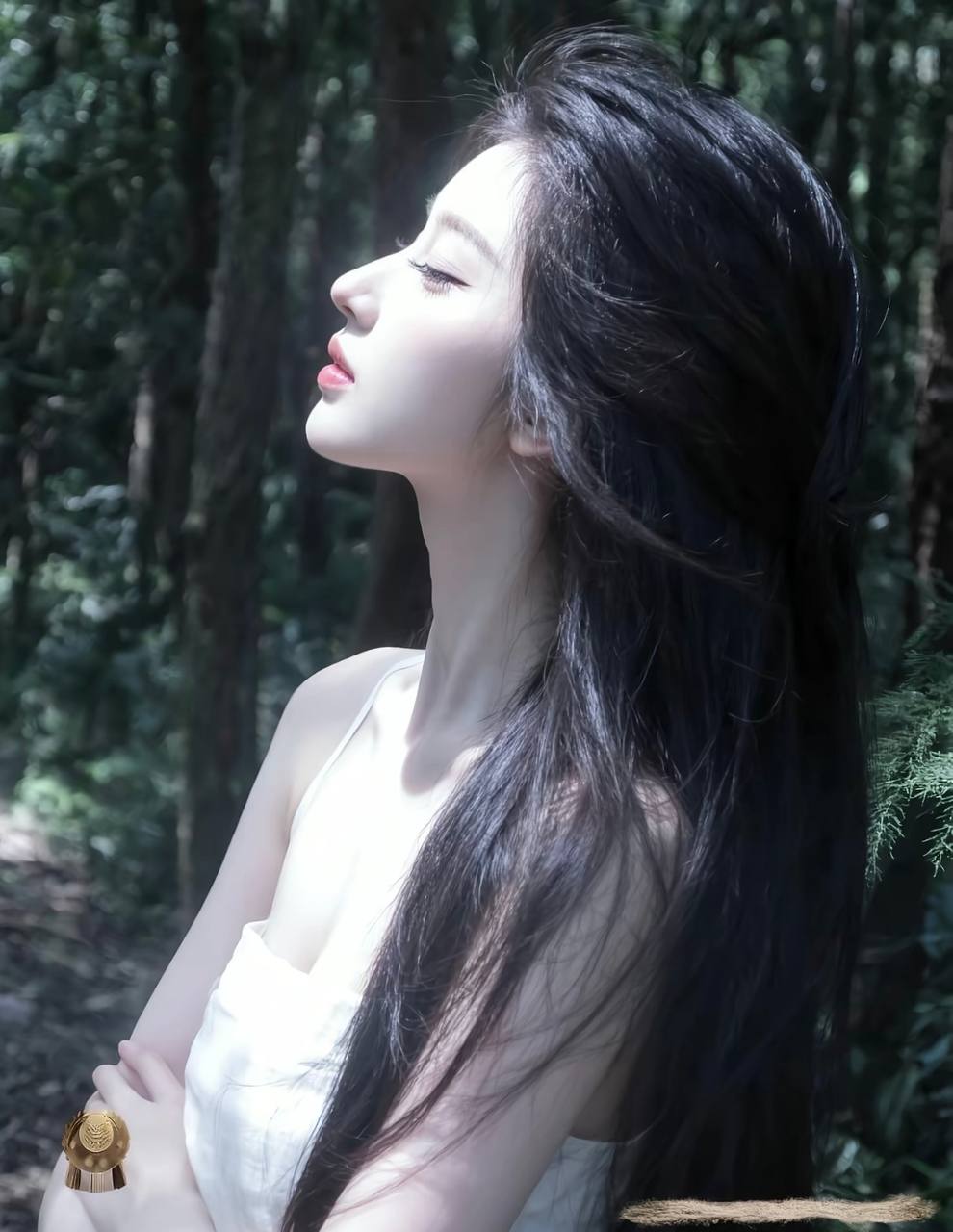 晚风首映